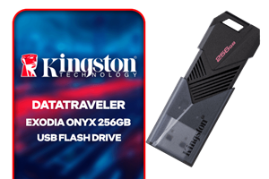 repository/components/Kingston DataTraveler Exodia Onyx 256GB USB Flash Drive_gaming-accessories-600px-v1300px.png